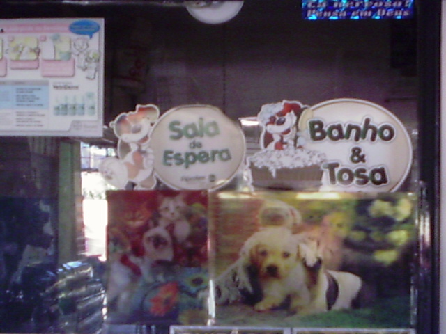 CAO FELIZ PET SHOP EM CAMPOS DOS GOYTACAZES