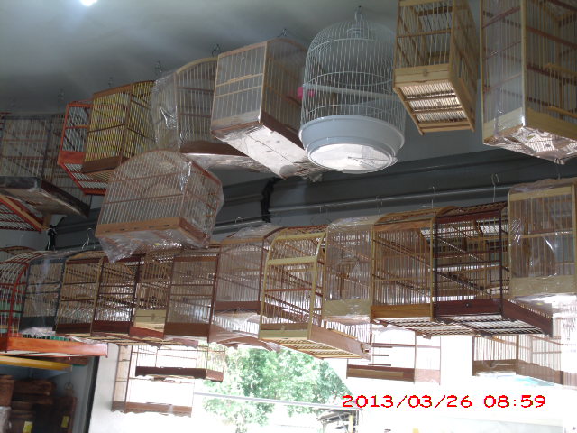 CAO FELIZ PET SHOP EM CAMPOS DOS GOYTACAZES