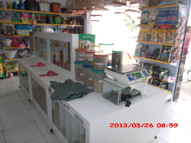 CAO FELIZ PET SHOP EM CAMPOS DOS GOYTACAZES