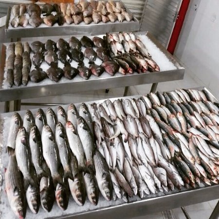 PEIXARIA EM PIABETÁ MAGÉ - RJ 