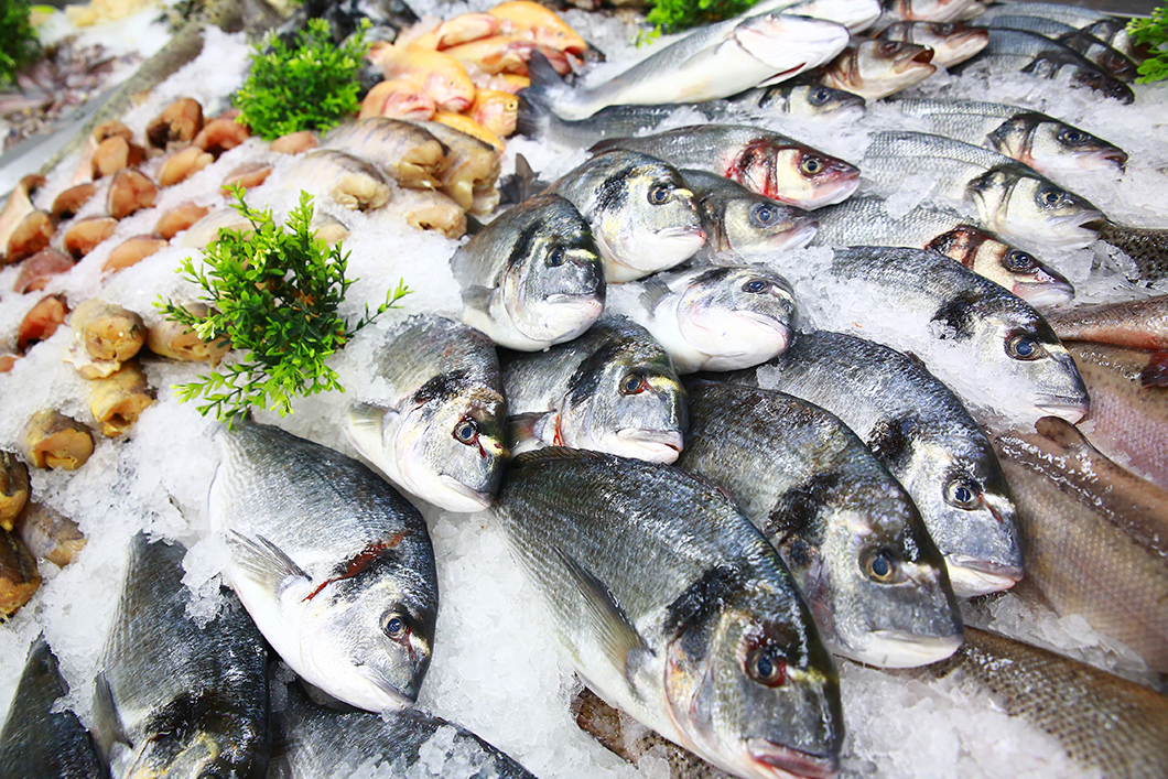 PEIXARIA EM PIABETÁ MAGÉ - RJ 