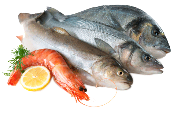 PEIXARIA EM PIABETÁ MAGÉ - RJ 