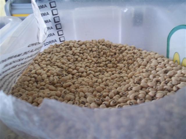 LOJA DE PRODUTOS NATURAIS E NORDESTINOS EM XEREM DUQUE DE CAXIAS - CASA DO NORTE - RJ