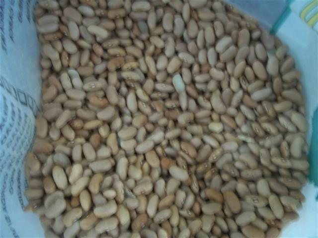 LOJA DE PRODUTOS NATURAIS E NORDESTINOS EM XEREM DUQUE DE CAXIAS - CASA DO NORTE - RJ