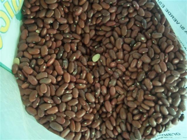 LOJA DE PRODUTOS NATURAIS E NORDESTINOS EM XEREM DUQUE DE CAXIAS - CASA DO NORTE - RJ