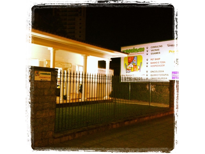 BANHO E TOSA EM CAMPOS DOS GOYTACAZES RJ