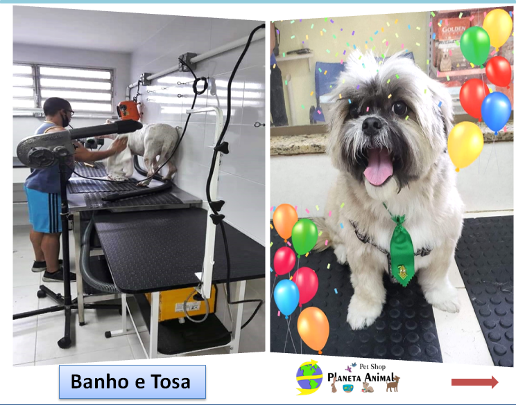 Pet Shop Planeta Animal