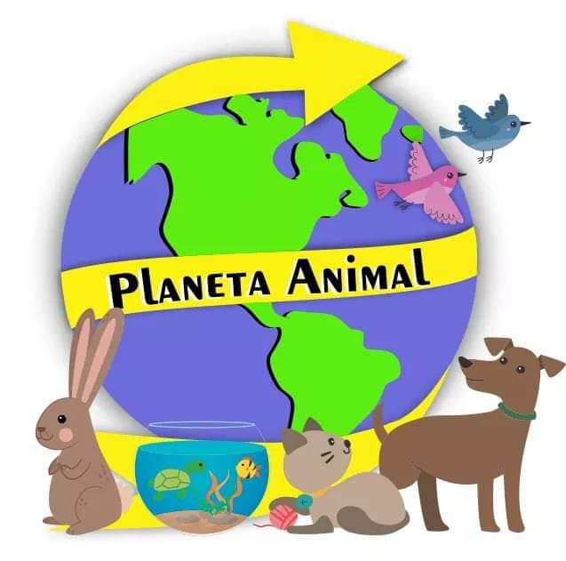 Pet Shop Planeta Animal