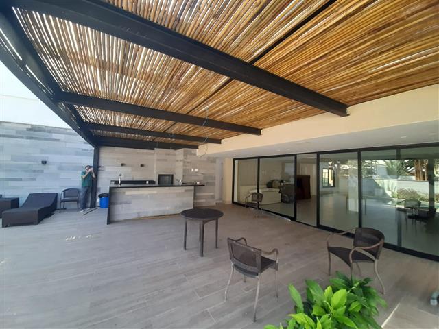 BAMBU TRATADO EM ARARUAMA - RJ