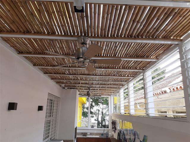 BAMBU TRATADO EM ARARUAMA - RJ