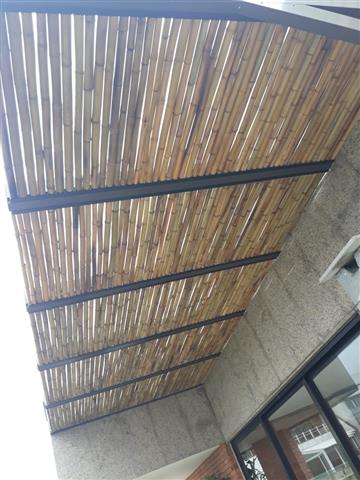 BAMBU TRATADO EM ARARUAMA - RJ