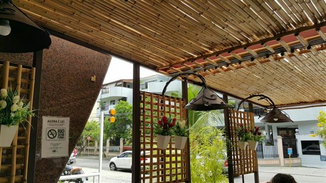 BAMBU TRATADO EM ARARUAMA - RJ