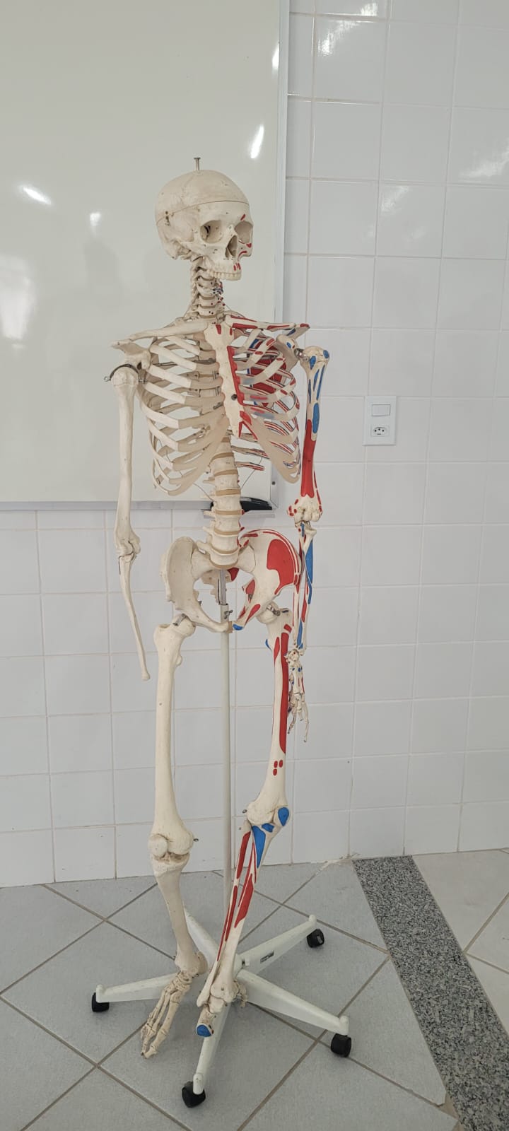 CLÍNICA DE OSTEOPATIA EM PETRÓPOLIS - CLIQUE AQUI - RJ