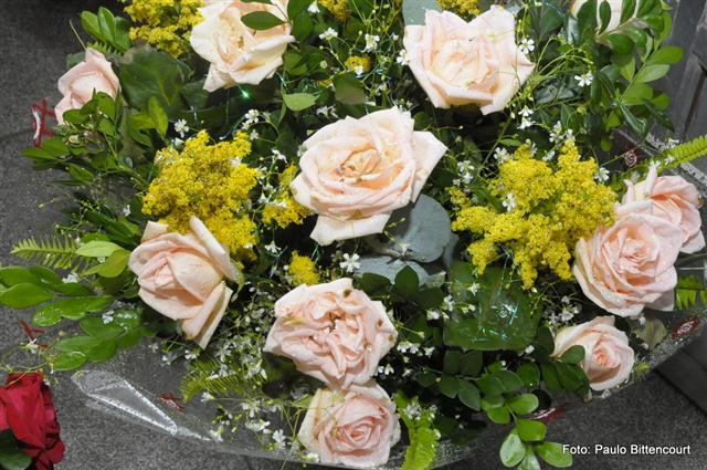 FLORICULTURA EM SÃO FIDÉLIS - FLORICULTURA IGUALDADE - RJ