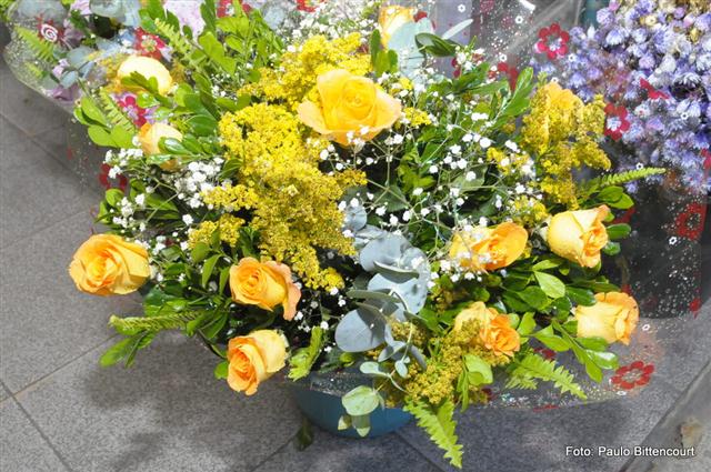 FLORICULTURA EM SÃO FIDÉLIS - FLORICULTURA IGUALDADE - RJ