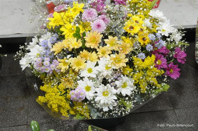 FLORICULTURA EM SÃO FIDÉLIS - FLORICULTURA IGUALDADE - RJ