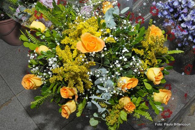 FLORICULTURA EM SÃO FIDÉLIS - FLORICULTURA IGUALDADE - RJ