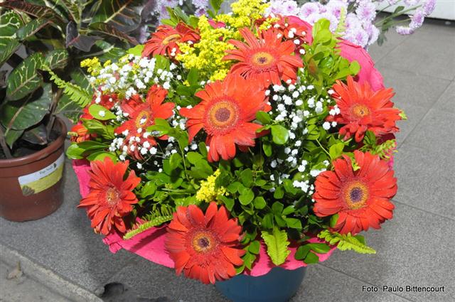 FLORICULTURA EM SÃO FIDÉLIS - FLORICULTURA IGUALDADE - RJ