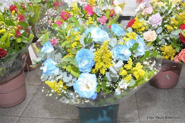 FLORICULTURA EM SÃO FIDÉLIS - FLORICULTURA IGUALDADE - RJ