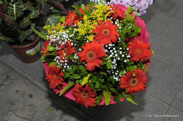 FLORICULTURA EM SÃO FIDÉLIS - FLORICULTURA IGUALDADE - RJ