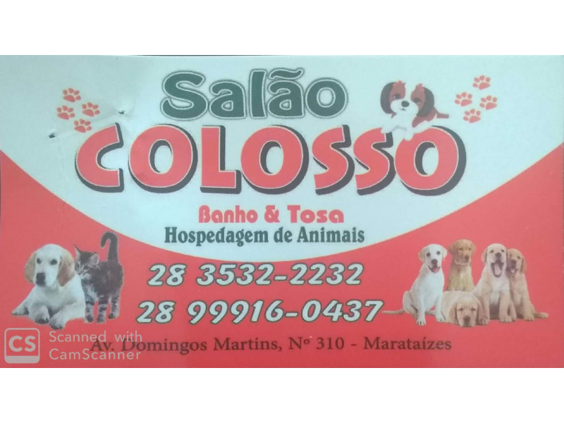 BANHO E TOSA EM MARATAÍZES ES - SALÃO COLOSSO