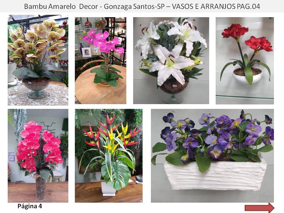 Floricultura Flora do Parque Plantas e Flores Naturais e Permanentes Decoração