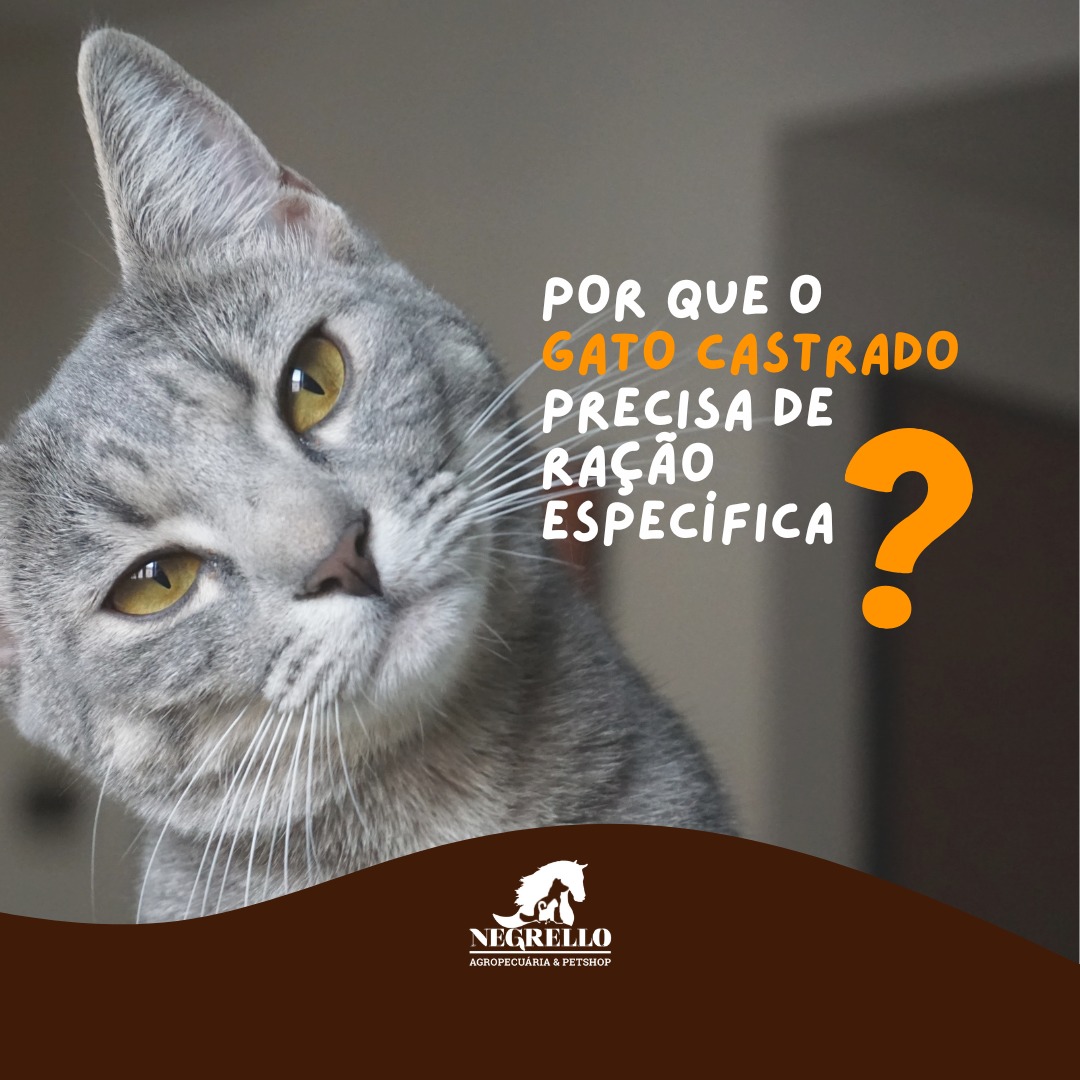 Pet Shop em Porto Alegre na Zona Oeste em Floresta - RS