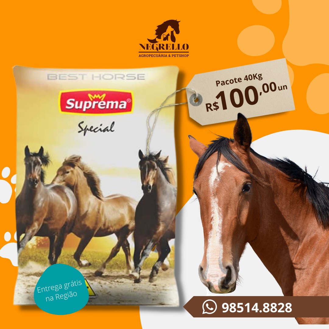 Pet Shop em Porto Alegre na Zona Oeste em Floresta - RS