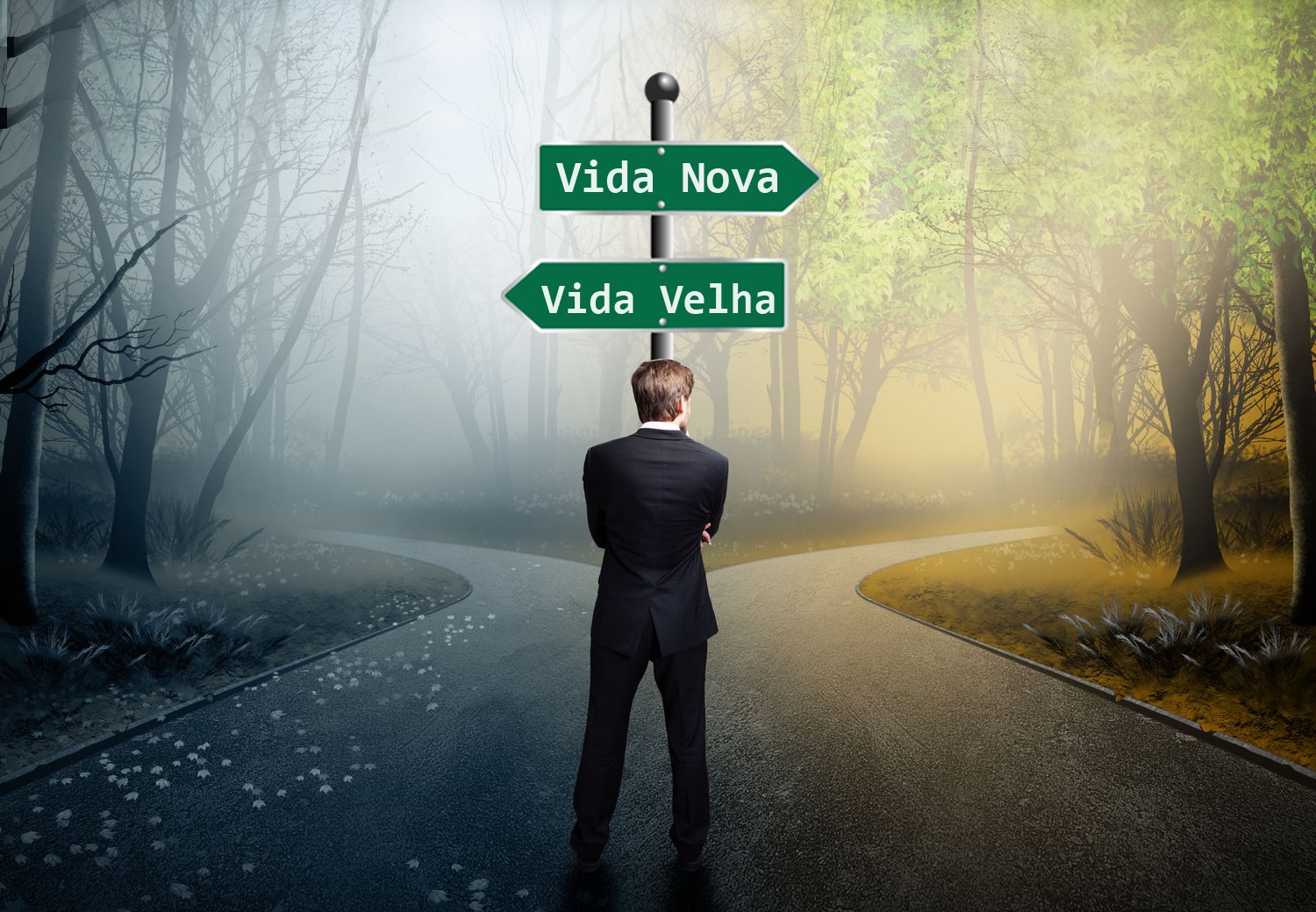 CENTRO DE REABILITAÇÃO PARA DEPENDENTES QUIMICOS NO RIO DE JANEIRO -  RJ