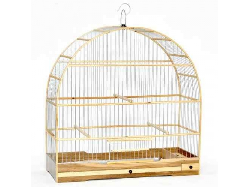 PET SHOP EM OLARIA RIO DE JANEIRO - RJ