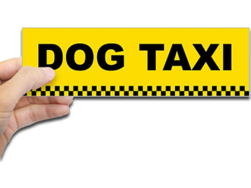 PET SHOP EM OLARIA RIO DE JANEIRO - RJ