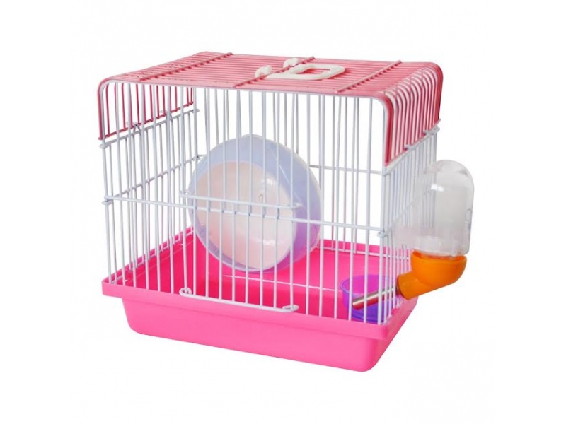 PET SHOP EM OLARIA RIO DE JANEIRO - RJ