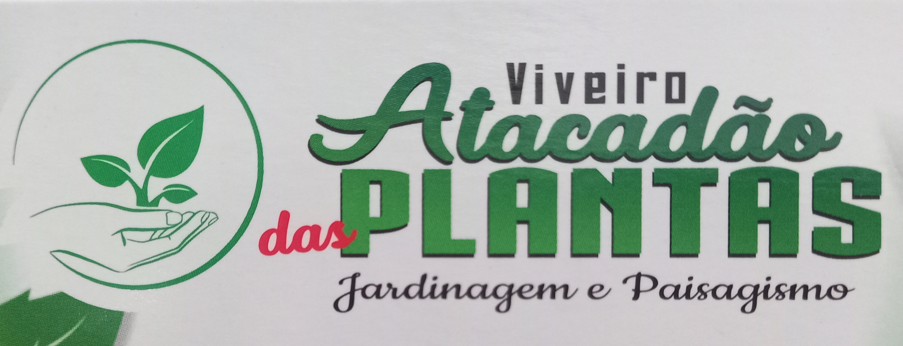 VIVEIRO ATACADÃO DAS PLANTAS 