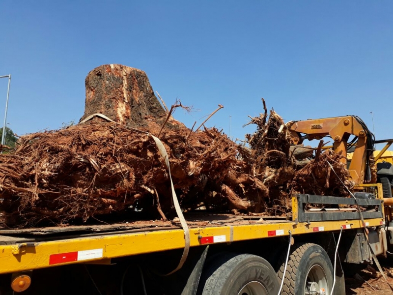 LOCAÇÃO DE CAMINHÃO MUNCK EM ITAPECERICA DA SERRA - SP 