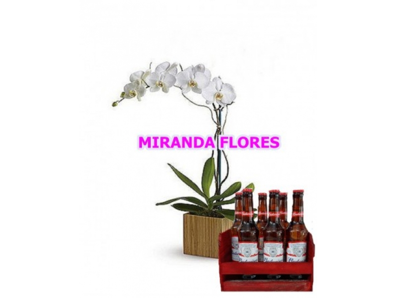 FLORICULTURA EM MAGÉ - RJ