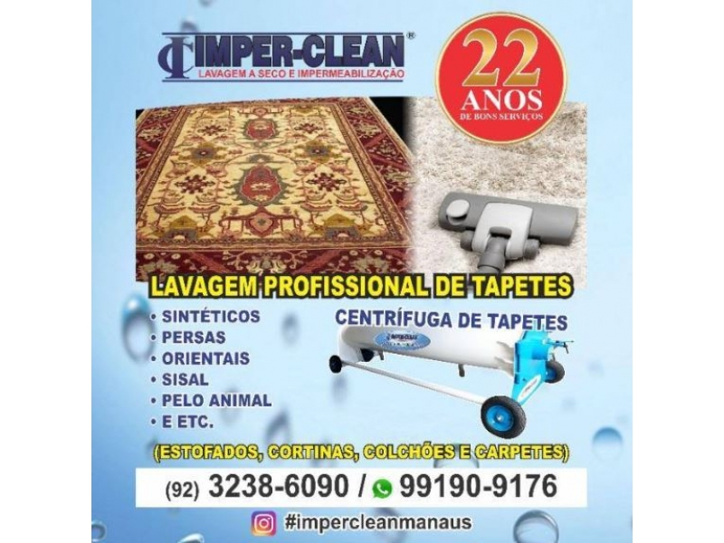HIGIENIZAÇÃO AUTOMOTIVA E RESIDENCIAL EM MANAUS - AM