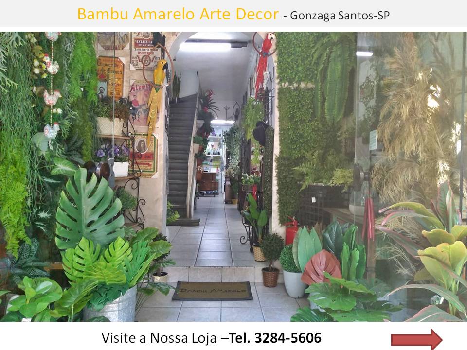 Decoração Paisagista no Gonzaga Flores Plantas Naturais e Permanentes