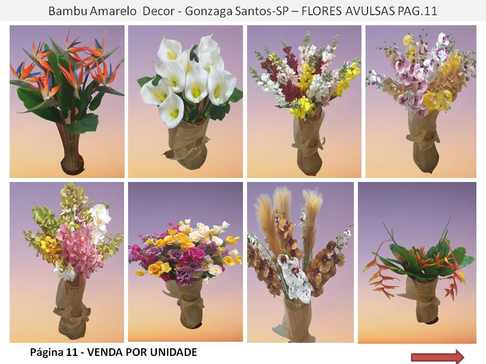 Decoração Paisagista no Gonzaga Flores Plantas Naturais e Permanentes