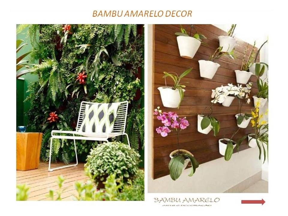 Bambu Amarelo Decorações Paisagismo Jardins e Decorações de Ambientes
