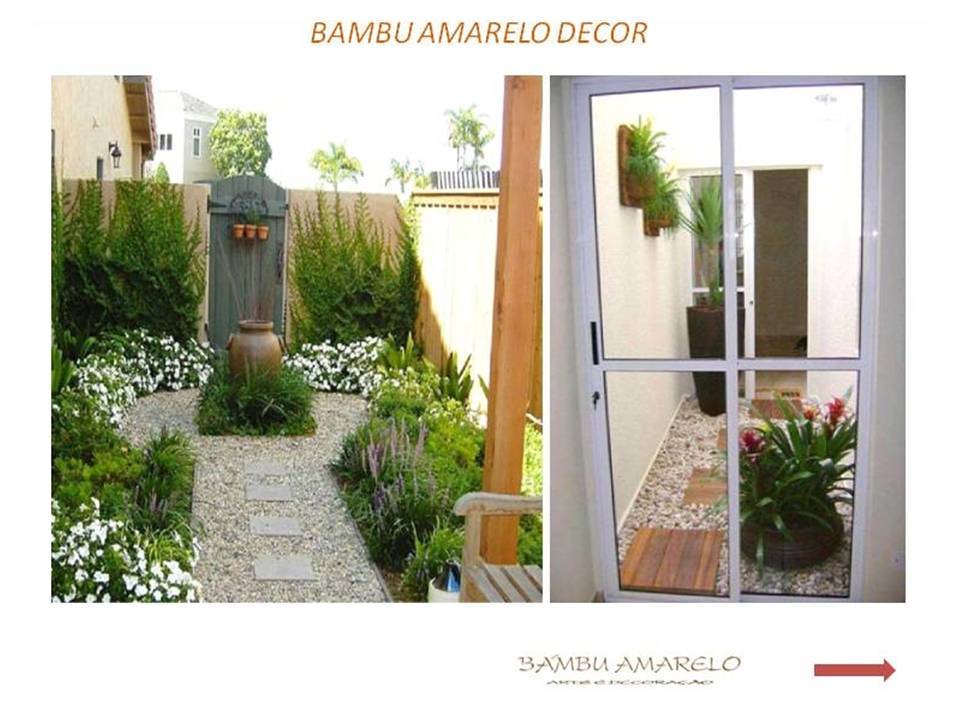 Bambu Amarelo Decorações Paisagismo Jardins e Decorações de Ambientes