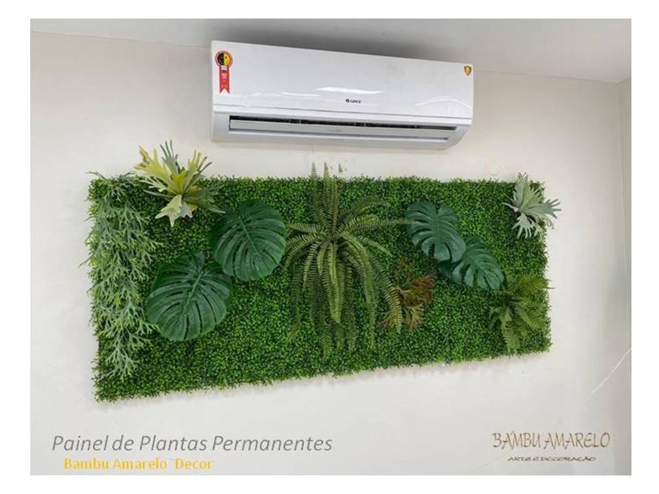 Bambu Amarelo Decorações Paisagismo Jardins e Decorações de Ambientes