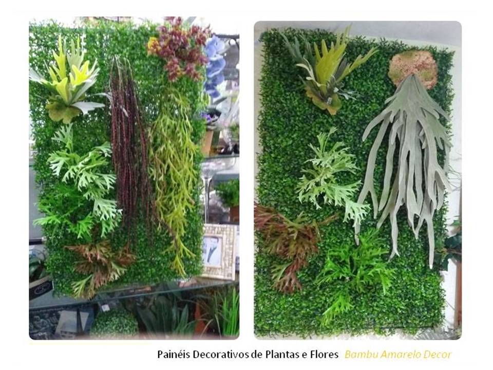 Bambu Amarelo Decorações Paisagismo Jardins e Decorações de Ambientes