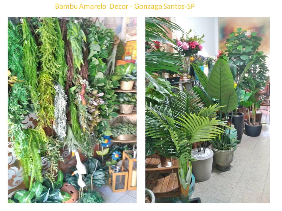 Bambu Amarelo Decorações Paisagismo Jardins e Decorações de Ambientes