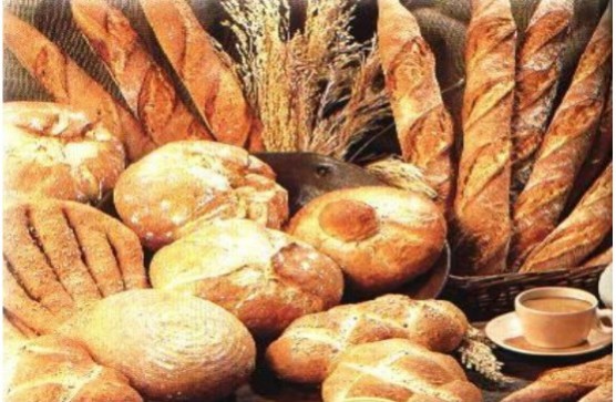 PADARIA JMP EM CAMPOS DOS GOYTACAZES