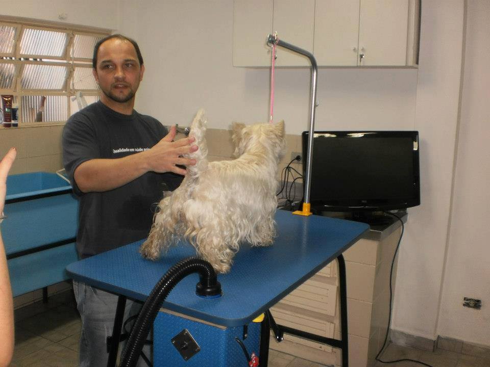 VETERINÁRIO 24 HORAS EM CASTELO - ES