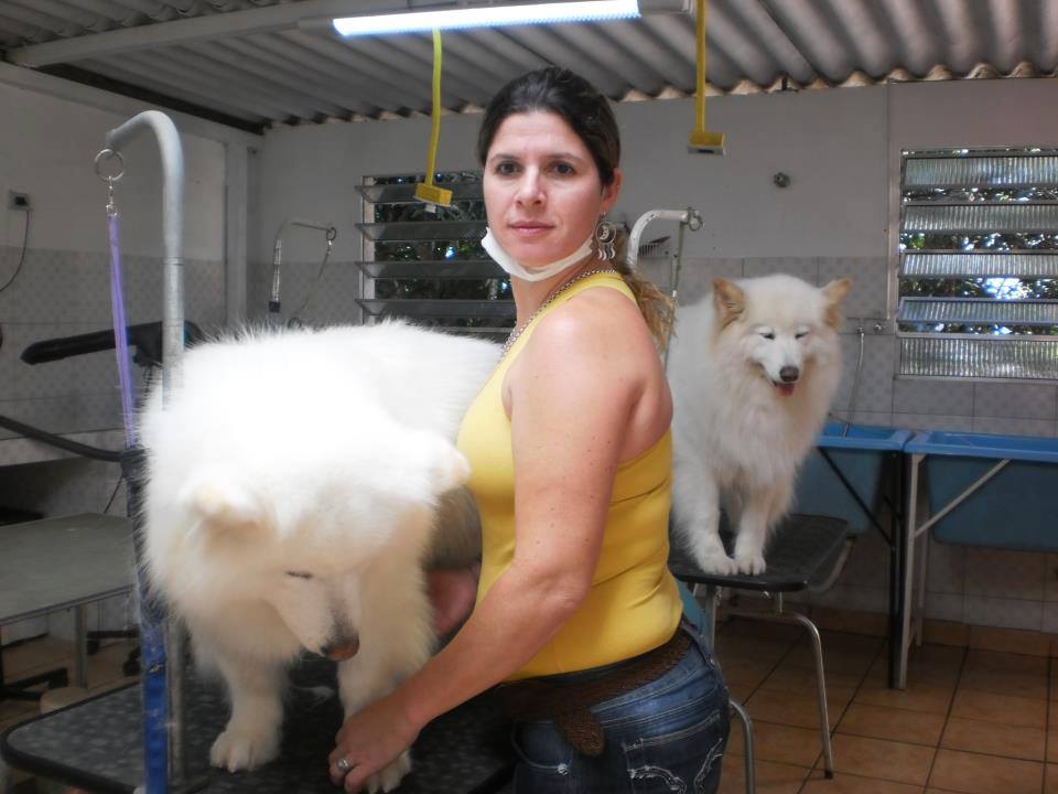 CLÍNICA VETERINÁRIA EM CASTELO - ES