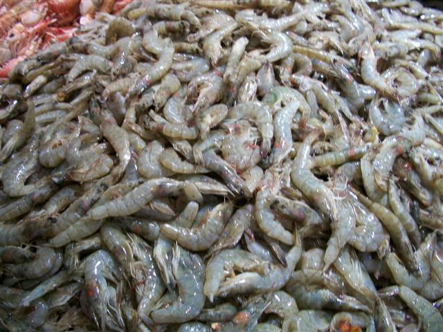 PEIXARIA EM MARICÁ - RJ