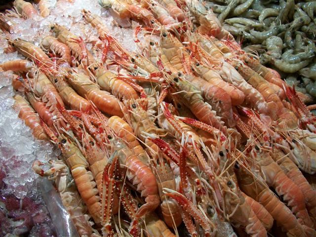 PEIXARIA EM MARICÁ - RJ