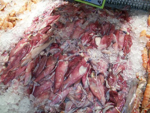 PEIXARIA EM MARICÁ - RJ