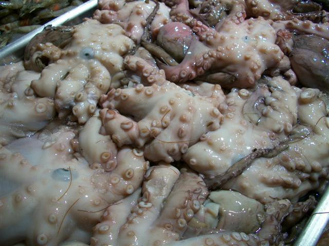 PEIXARIA EM MARICÁ - RJ